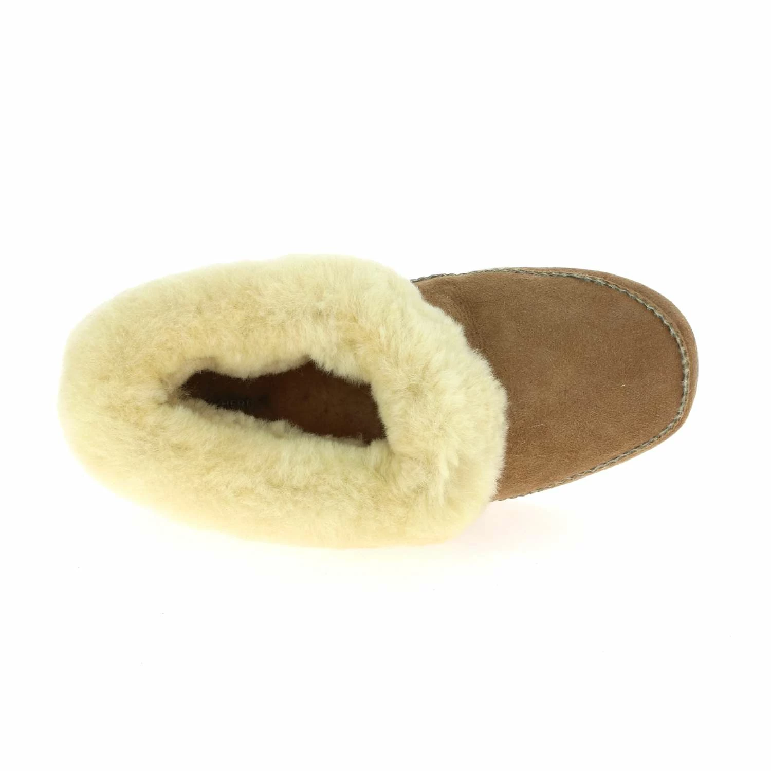 SHEPHERD EMMY 8 SHEPHERD EMMY – Image 6