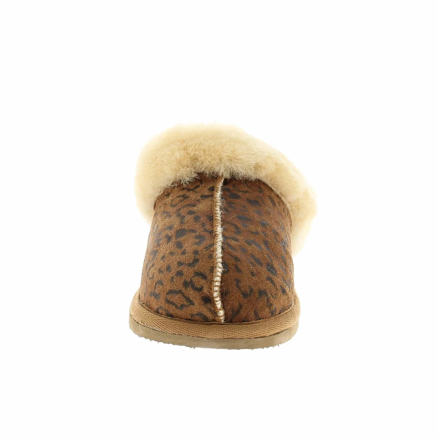 SHEPHERD JESSICA 5 SHEPHERD JESSICA – Image 3