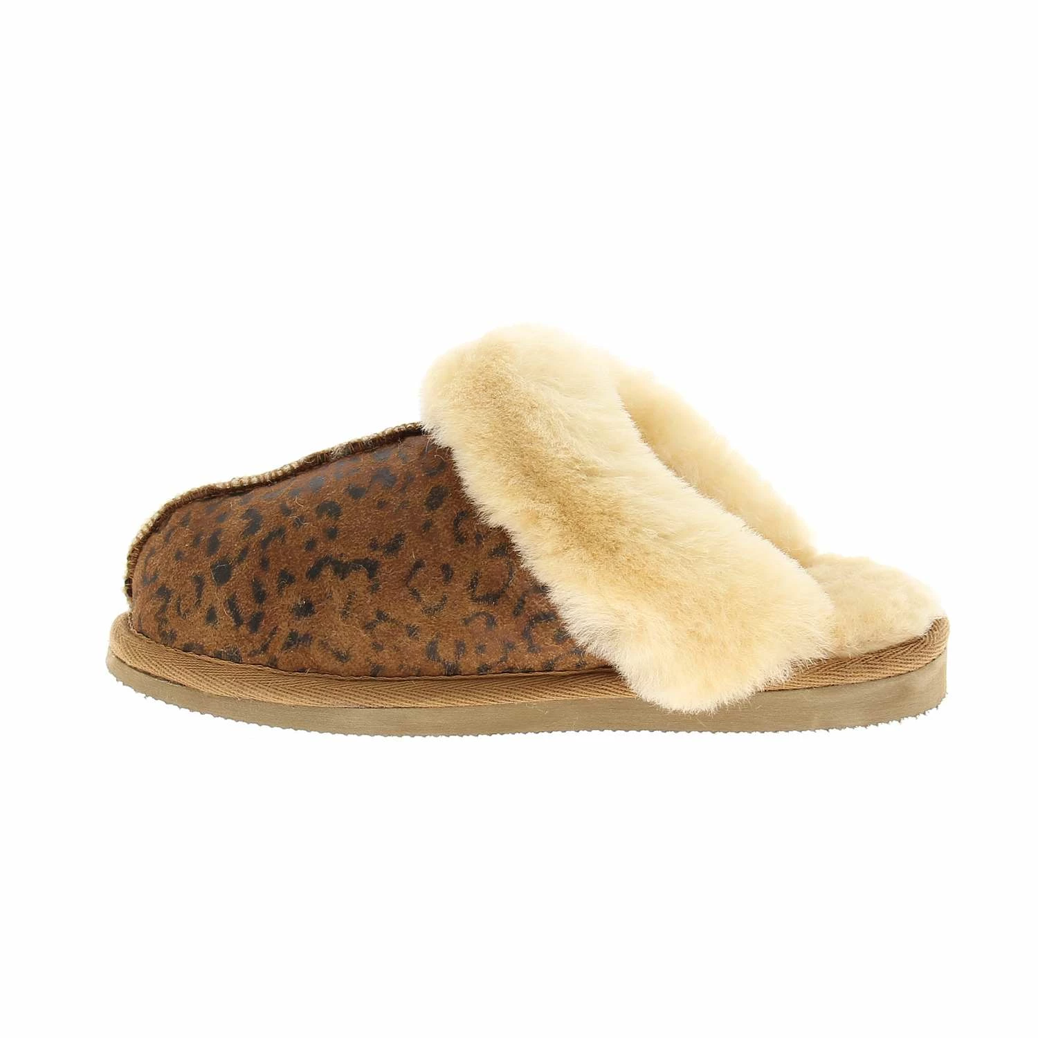 SHEPHERD JESSICA 7 SHEPHERD JESSICA – Image 5