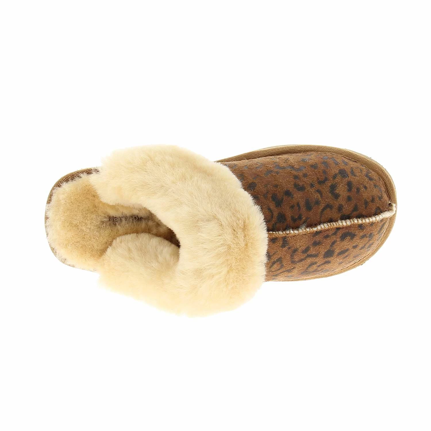 SHEPHERD JESSICA 8 SHEPHERD JESSICA – Image 6